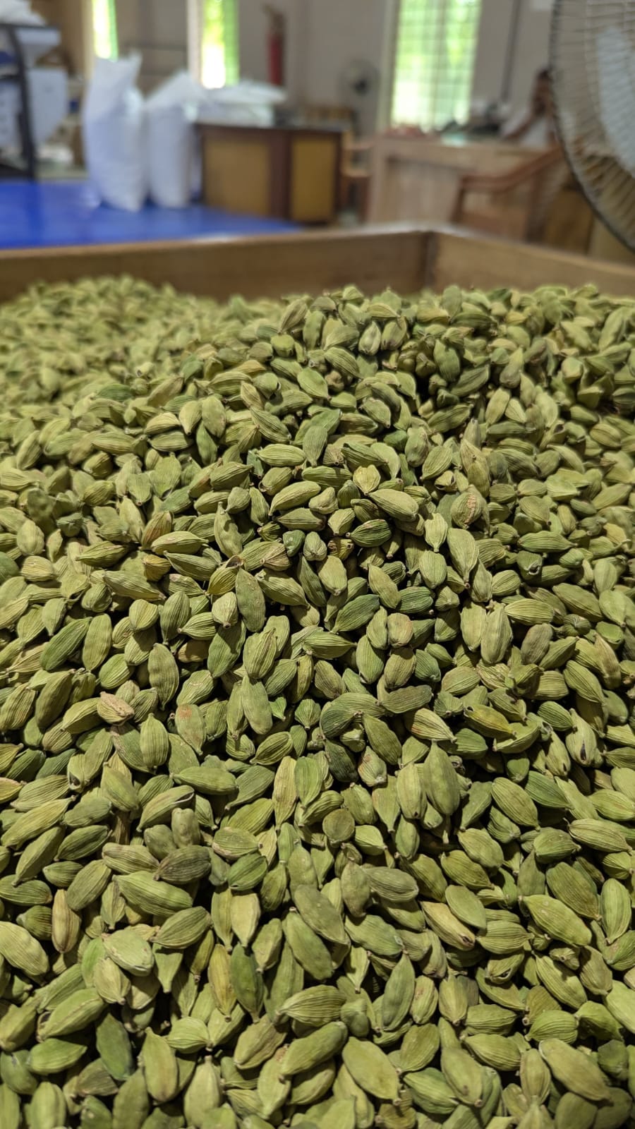 Premium Whole Green Cardamom Pods